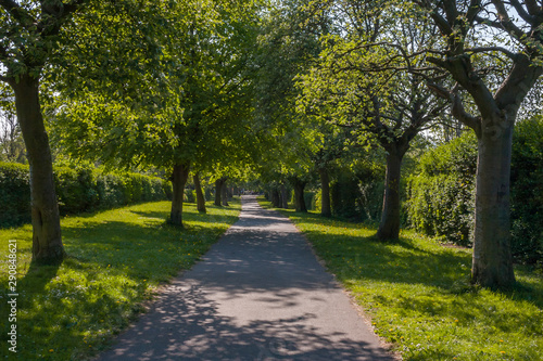 View of a path through a park shaded by trees on a summer day © Adam