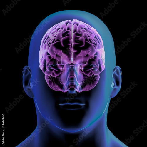 Tableau sur toile 3D Rendering of Brain with Pineal Gland Highlighted on Black