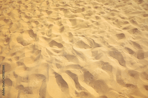 Beautiful sandy beach on sunny summer day