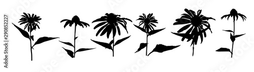 Set of silhouettes flowers isolated on white. Vector illustrations