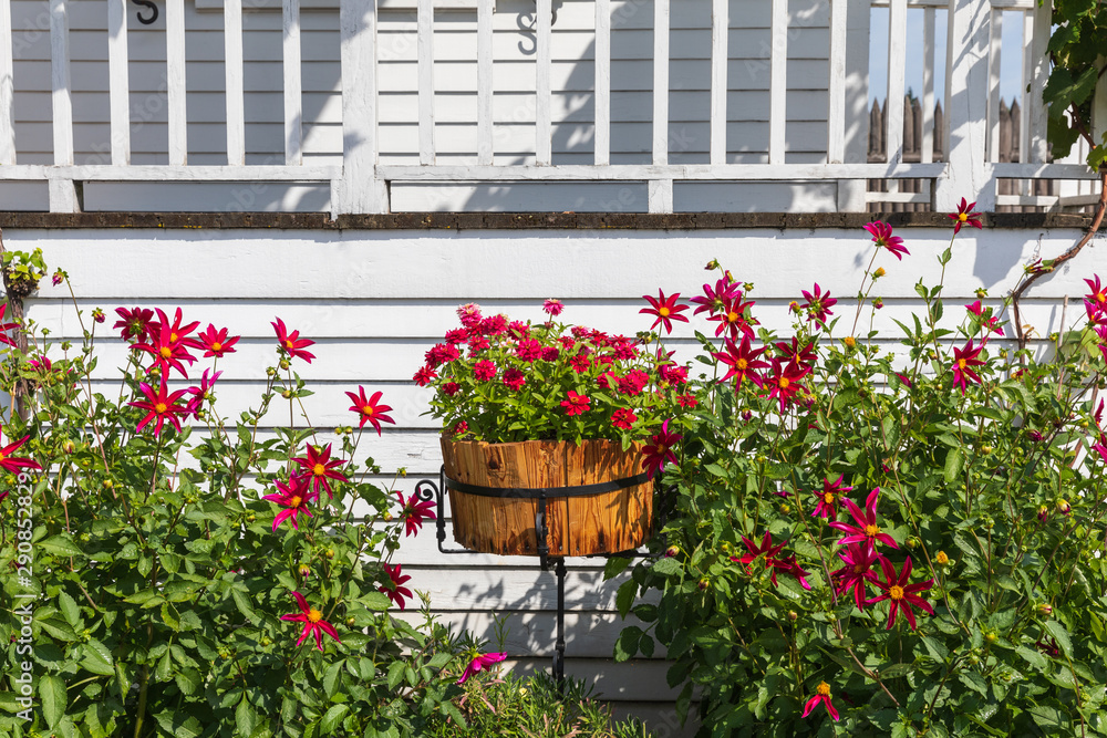 USA, Washington State, Fort Vancouver National Historic Site. Flowers in front of the Chief Factor's house in the Hudson's Bay Company's Fort Vancouver.