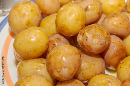 Young boiled potatoes in uniform lying on a plate