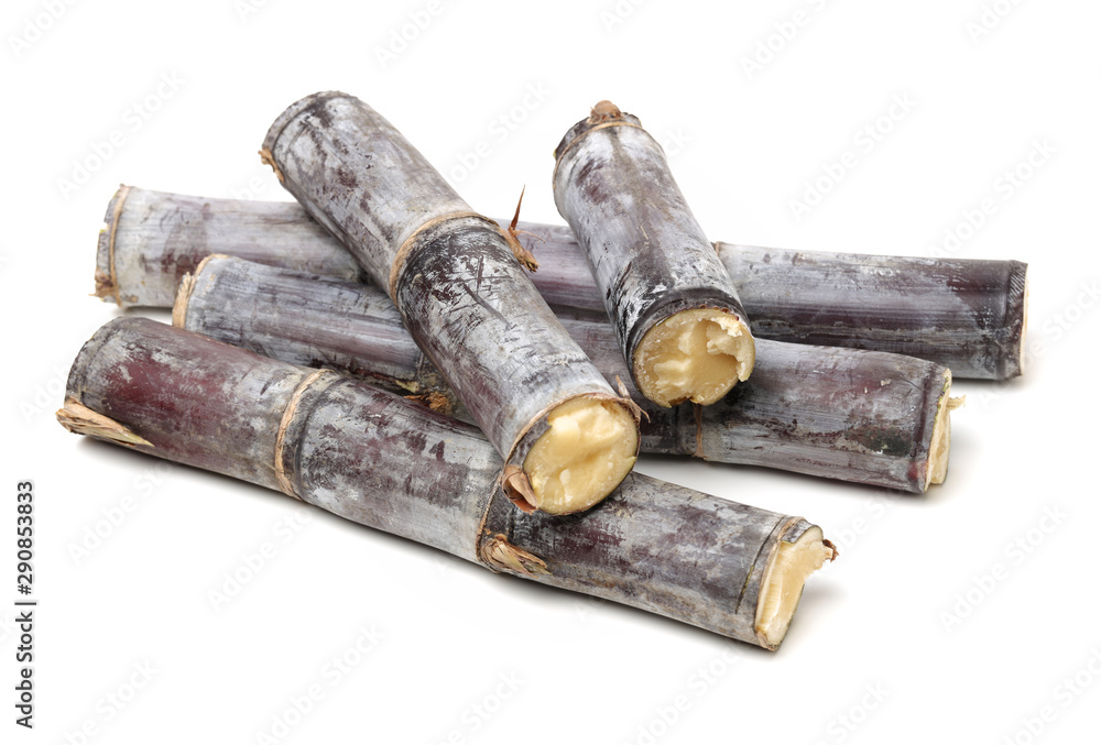 Fresh Sugar cane on white background.