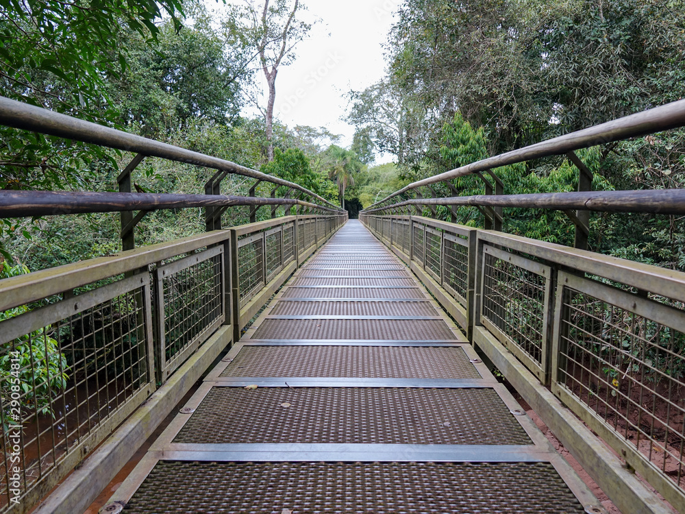 Iguazu Falls Trail bridge in Argentina