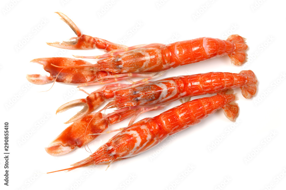 Mantis Shrimp in seafood market. Health, cuisine. Mantis Shrimp in seafood market. Health, cuisine.