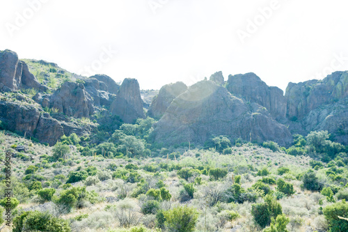 Dripping Springs, NM