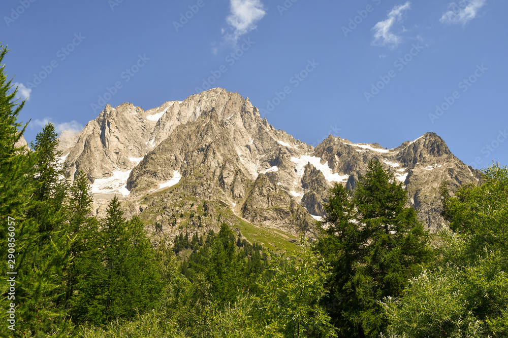 View of the Grandes Jorasses mountain range in the Mont Blanc massif with pine forest in a sunny summer day, Courmayeur, Aosta, Italy