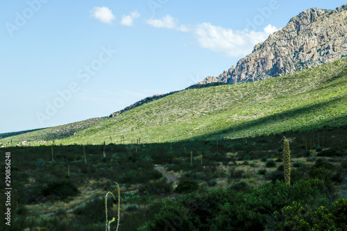 Dripping Springs, NM 