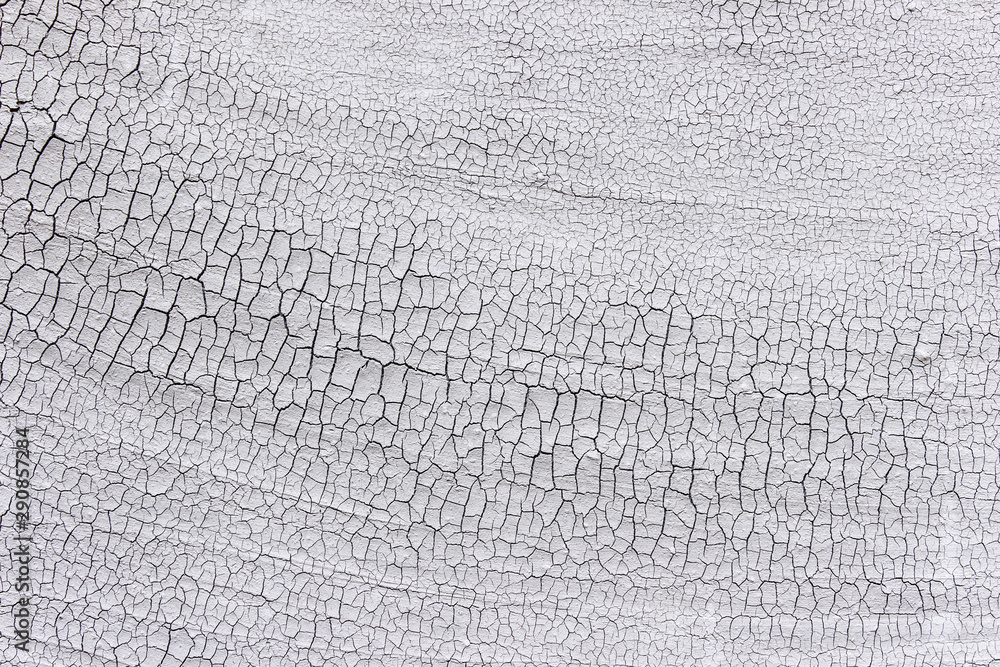 custom made wallpaper toronto digitalTexture of dry old weathered cracked surface covered with plaster. 