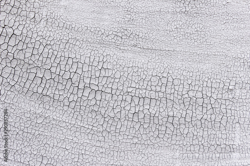 Wallpaper Mural Texture of dry old weathered cracked surface covered with plaster.  Torontodigital.ca