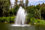 fountain in the pond on a sunny day in the park with green plants from deciduous and pine trees.