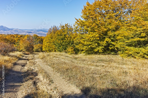 Autumn view of Cherna Gora  Monte Negro  mountain  Bulgaria