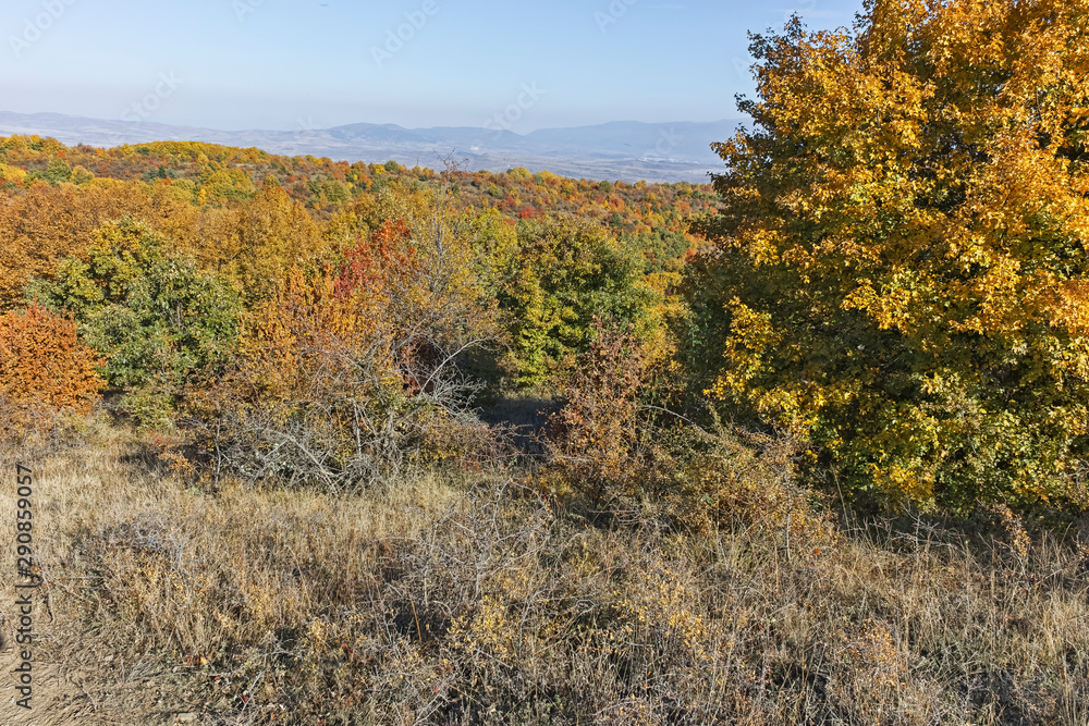 Autumn view of Cherna Gora (Monte Negro) mountain, Bulgaria