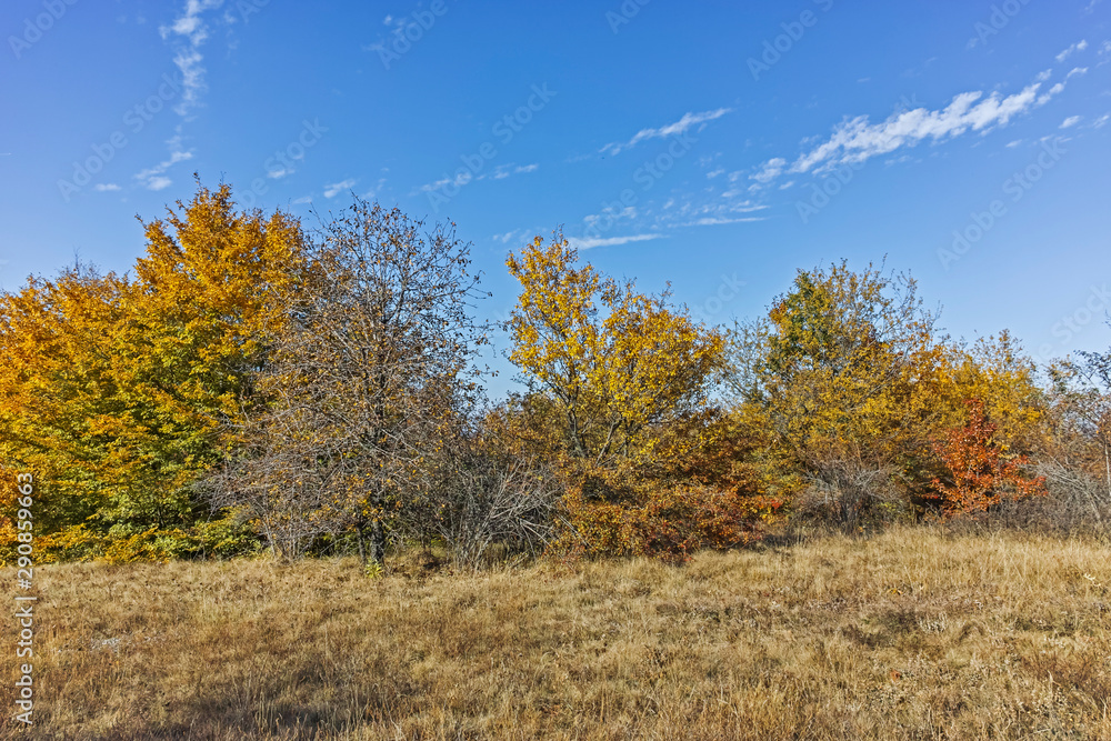 Autumn view of Cherna Gora (Monte Negro) mountain, Bulgaria Autumn view of Cherna Gora (Monte Negro) mountain, Bulgaria