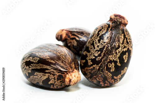 Castor oil seeds on white background