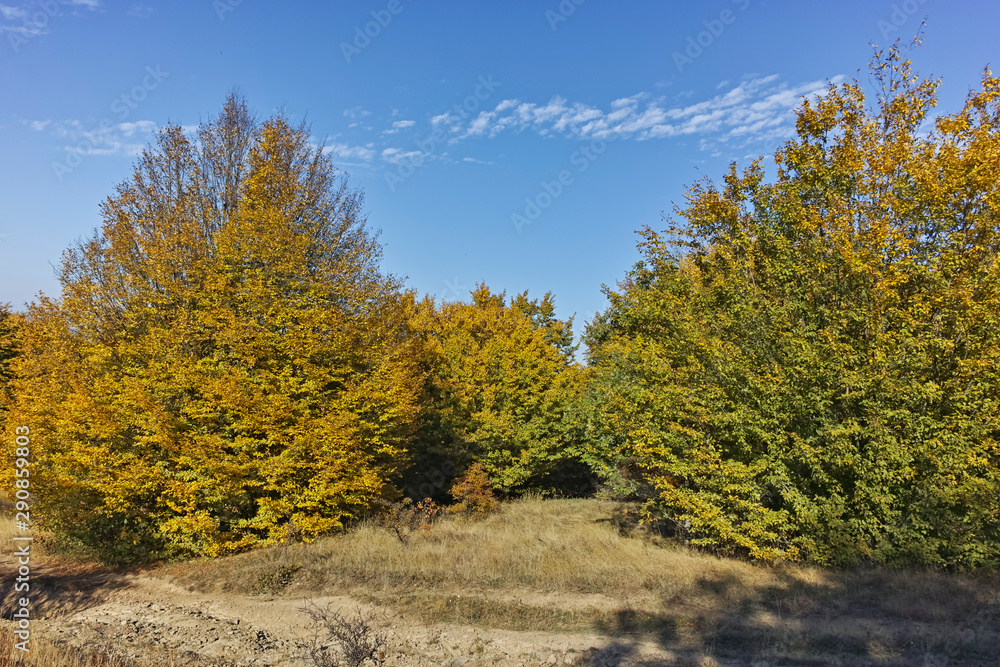 Autumn view of Cherna Gora (Monte Negro) mountain, Bulgaria Autumn view of Cherna Gora (Monte Negro) mountain, Bulgaria