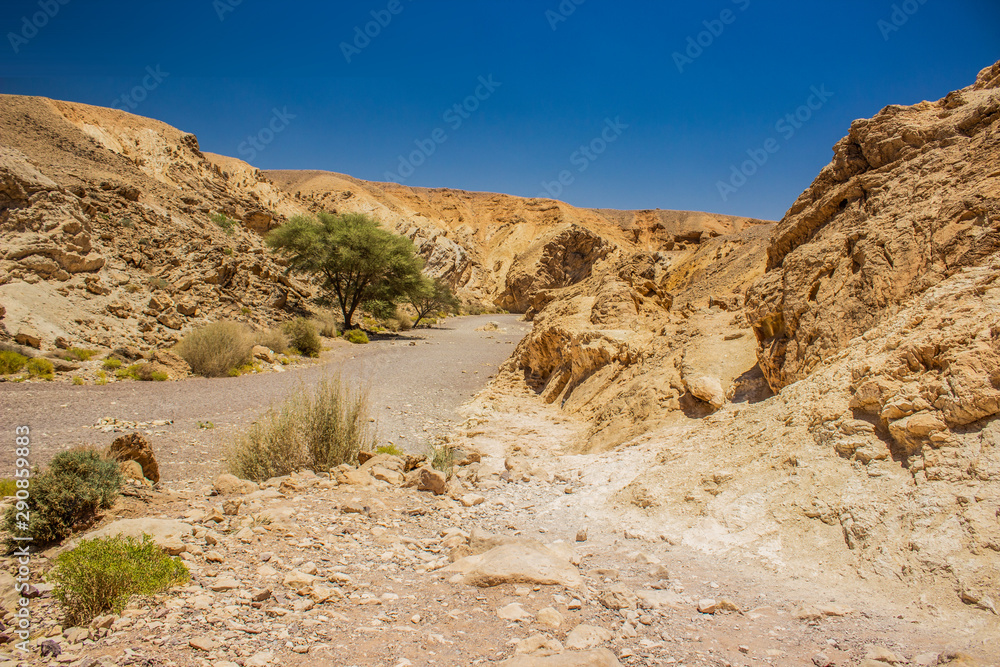 desert canyon rocky highland scenery landscape with passage between sand stone dry empty hills