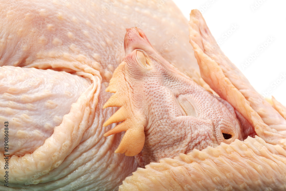 Raw chicken on a white background Raw chicken on a white background