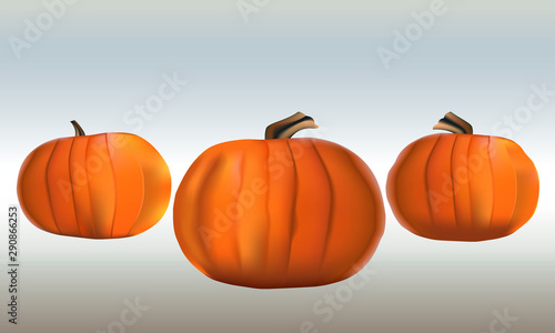 pumpkins on white background