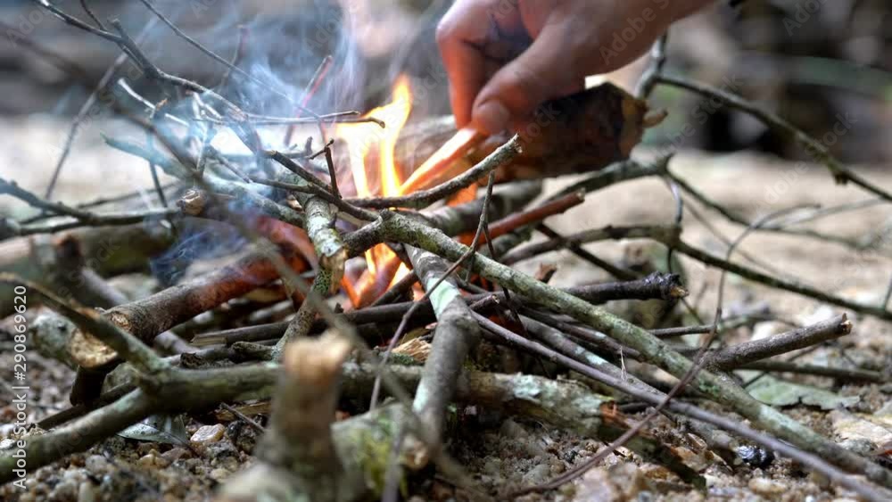 4K Medium close up shot of man hand making bonfire from tree branch. Burning flames firewood campfire in pine forest woodland. Adventure camping and travel concept. 4K Medium close up shot of man hand making bonfire from tree branch. Burning flames firewood campfire in pine forest woodland. Adventure camping and travel concept.