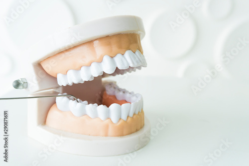 White teeth model and dental instruments on the white table