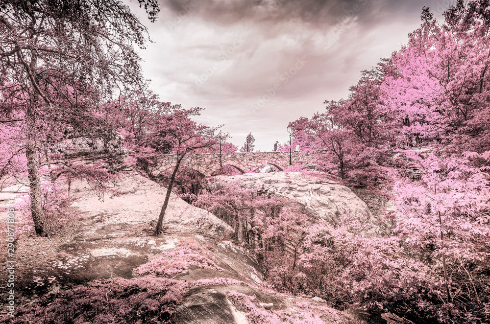 infrared special effect in mistery garden fantasy infrared special effect in mistery garden fantasy
