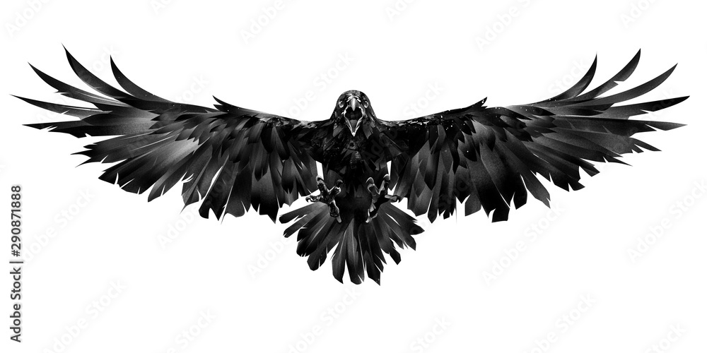 Obraz drawn flying raven on a white background