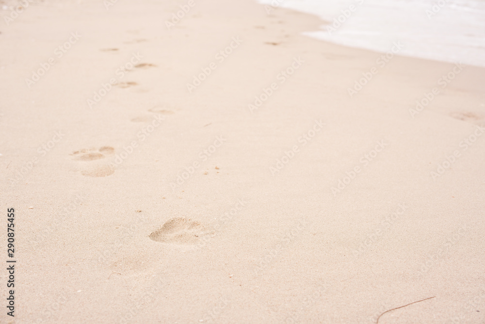 Adult foot print on sand and beach near sea water. Foot mark stepped on sea shore with sof sand Adult foot print on sand and beach near sea water. Foot mark stepped on sea shore with sof sand