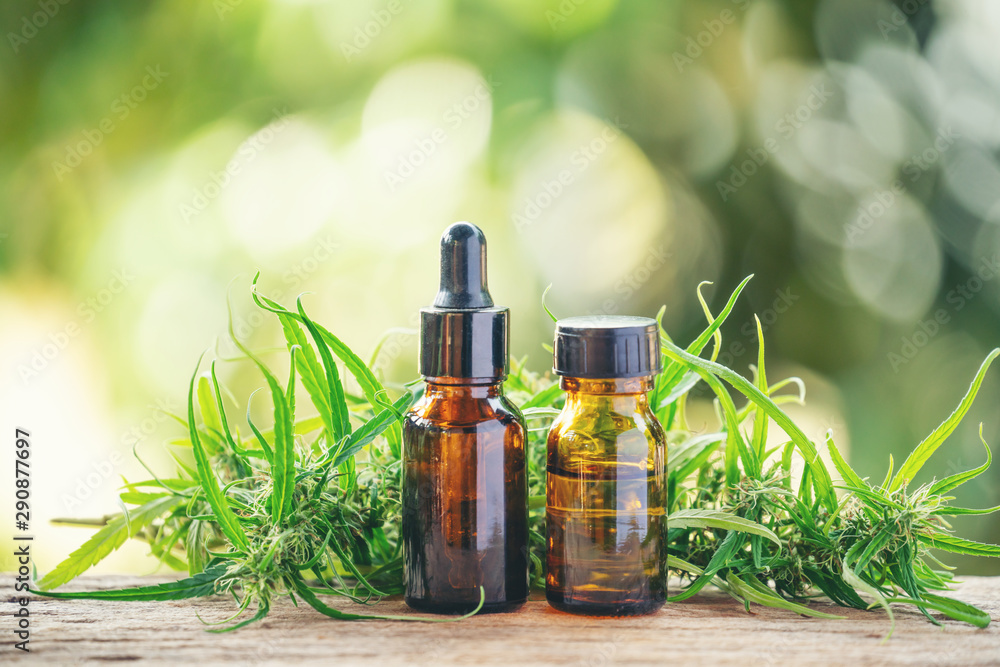 cannabidiol (cbd) extract in a bottle cannabidiol (cbd) extract in a bottle