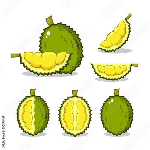 natural healthy durian vector background with flat icons design