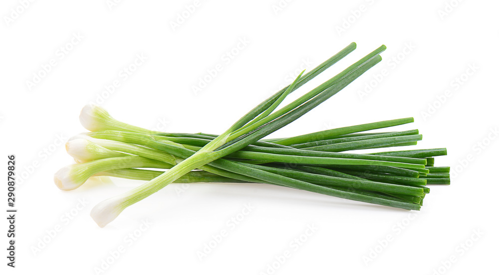 Spring onion Spring onion