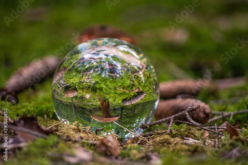Watching a part of a bavarian forest through a lensball.