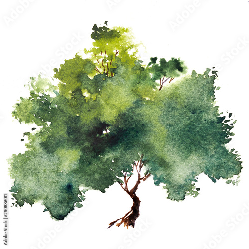 Green tree with leaves. Hand drawn watercolor painting,isolate on white background.Colorful splashing in the paper.It is wet texture with paint brushes stoke.Stylized summer tree. Eco design.