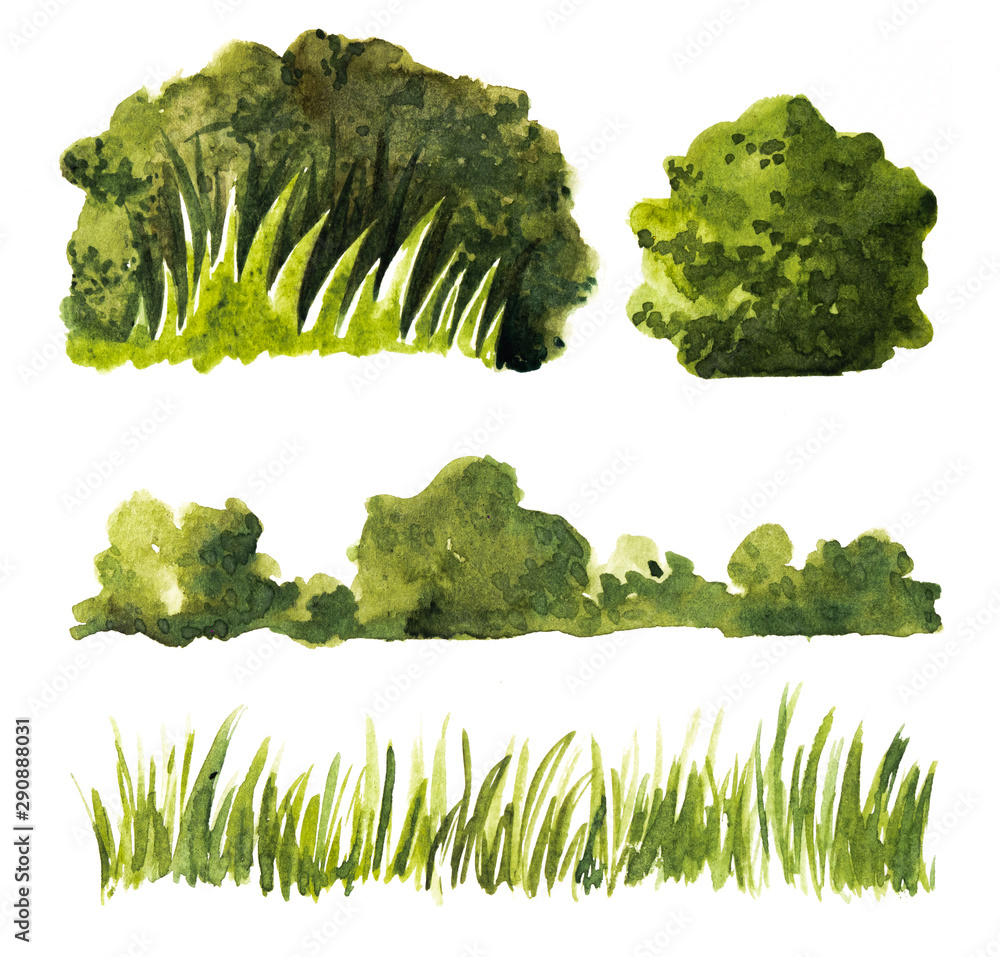 Collection plant shrub symbols of Landscape architect for decorate