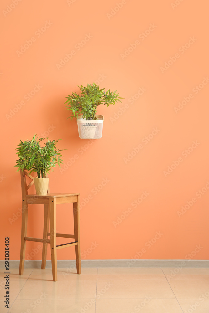 Interior of modern room with houseplants and chair