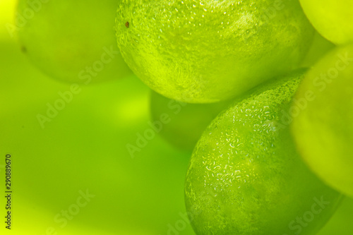 Green grapes from the fridge with condensate droplets on the skin. Selective focus. Close up. Macro shooting. Chilled fruits. Reflected light on the water.
