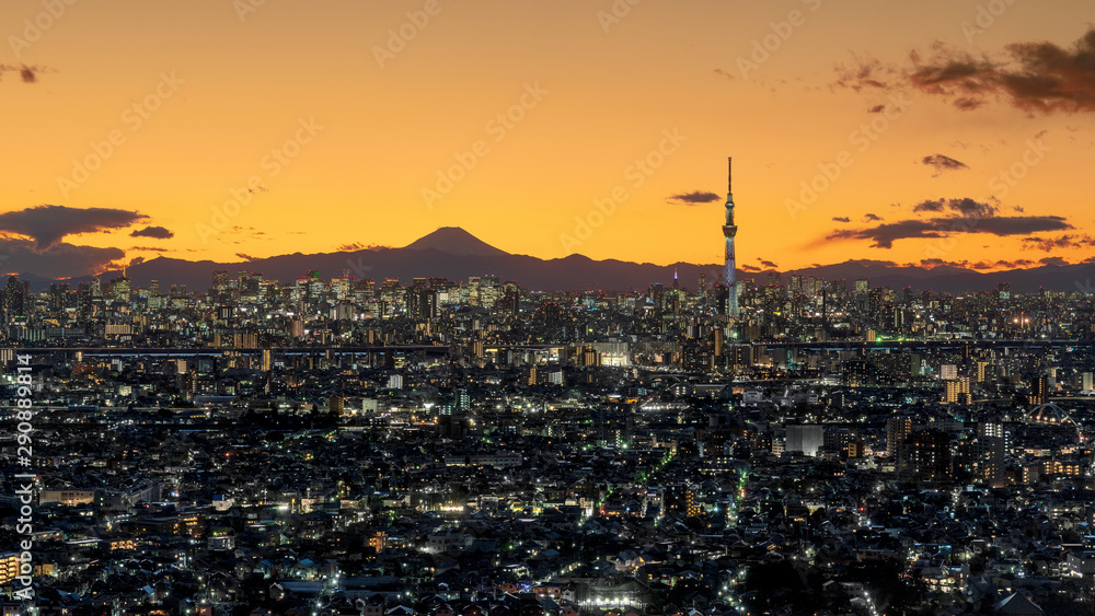 Fototapeta premium Tokyo city view and Mountain Fuji in Japan. Tokyo cityscape twilight.