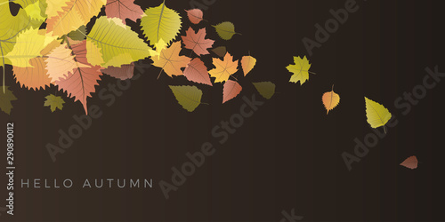 Autumn sale background, layout decorate with leaves of autumn. Poster and frame leaflet or web banner. Vector template.