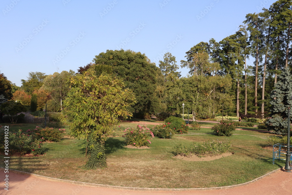 Jardin des roses - Roseraie Parc de la Tête d'Or à Lyon - France