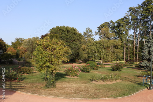 Jardin des roses - Roseraie Parc de la Tête d'Or à Lyon - France