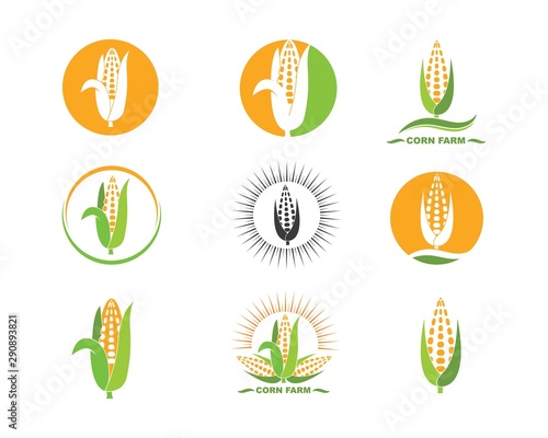 corn vector icon illustration design