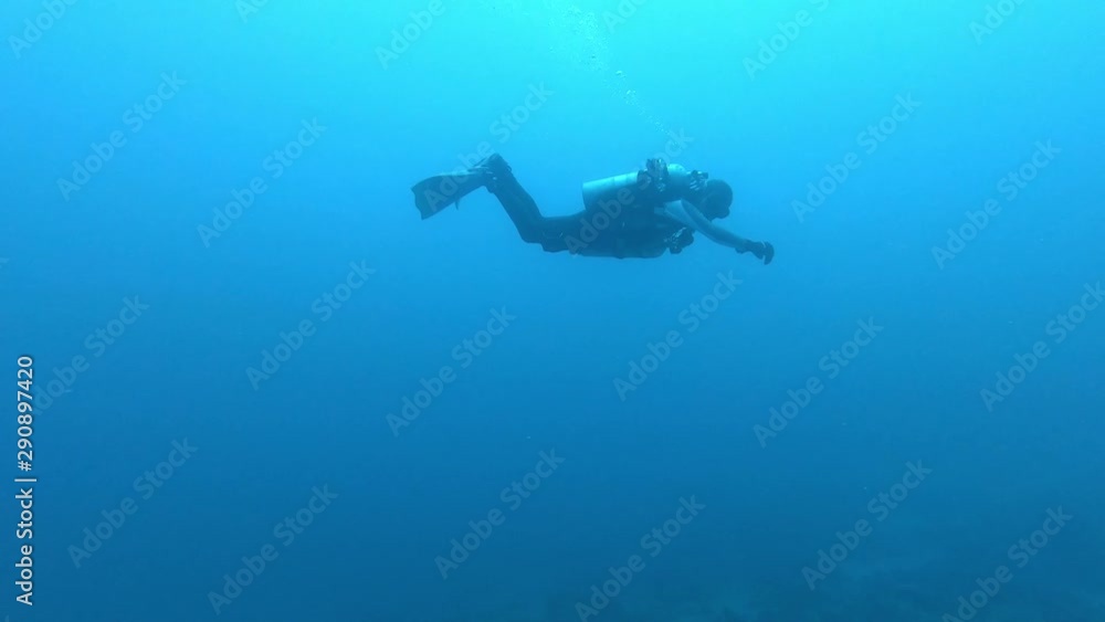 scuba diver blue water red sea scuba diver blue water red sea
