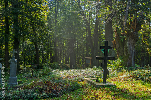 Fototapeta Naklejka Na Ścianę i Meble -  cmentarz