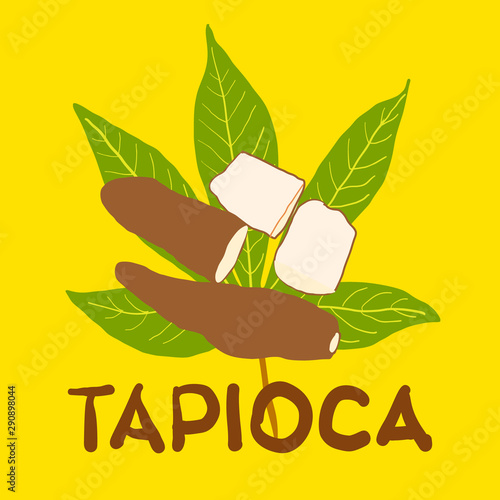 tapioca fruit on green leaf and hand drawn text