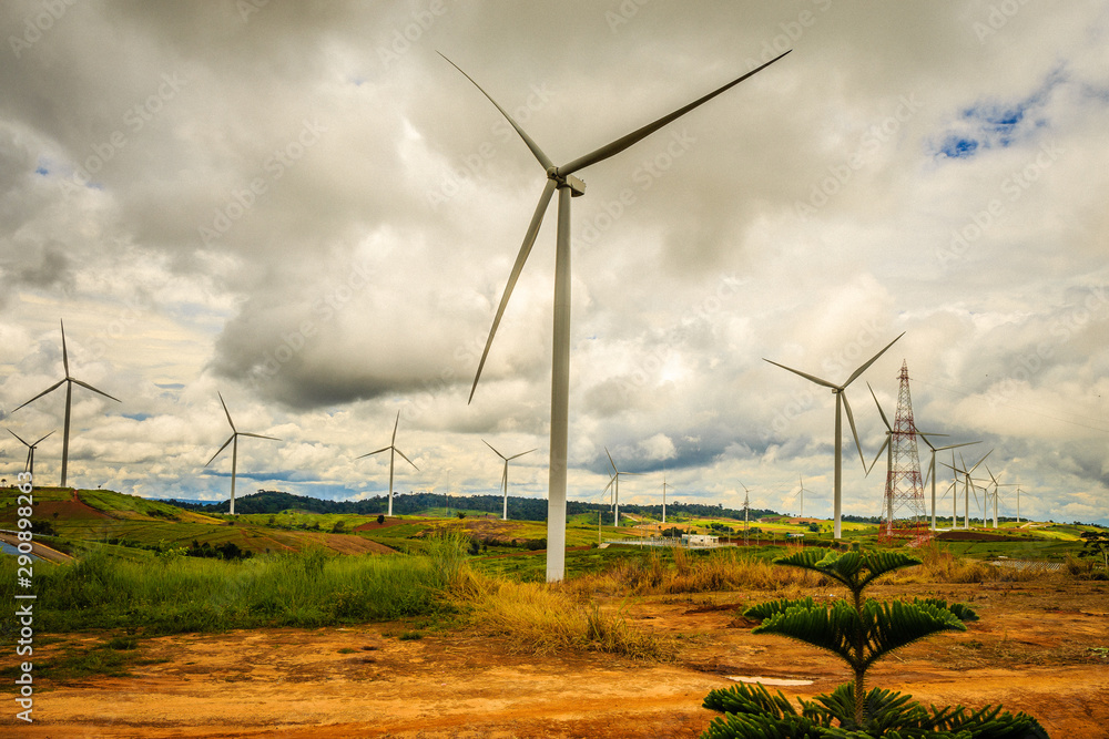 Obraz premium wind turbines in the field