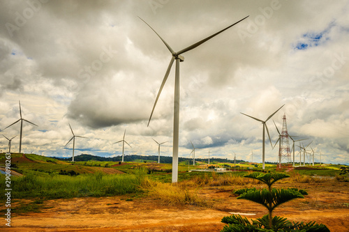 wind turbines in the field