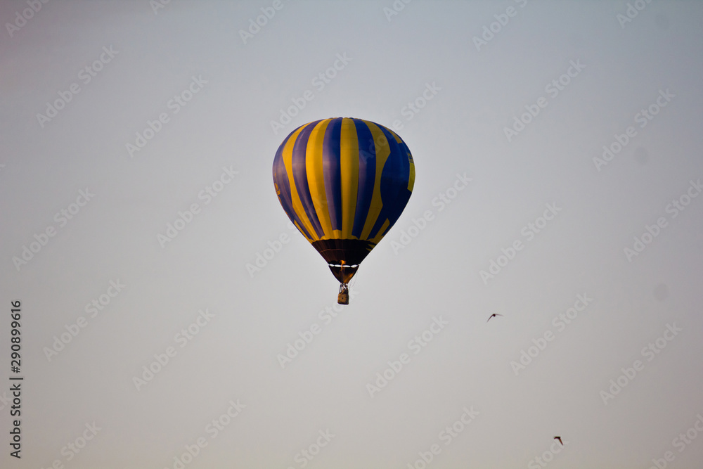 Fototapeta premium Hot Air Balloon in the sky