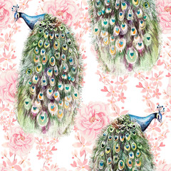 Acrylglasbilder Pfauenmuster Buntes Blumenmuster mit Pfingstrosen und Pfau  © knopazyzy