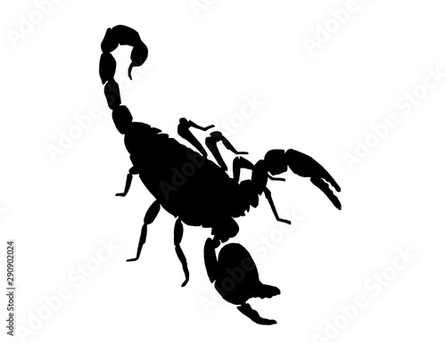 Graphical silhouette of scorpion isolated on white background,vector illustration