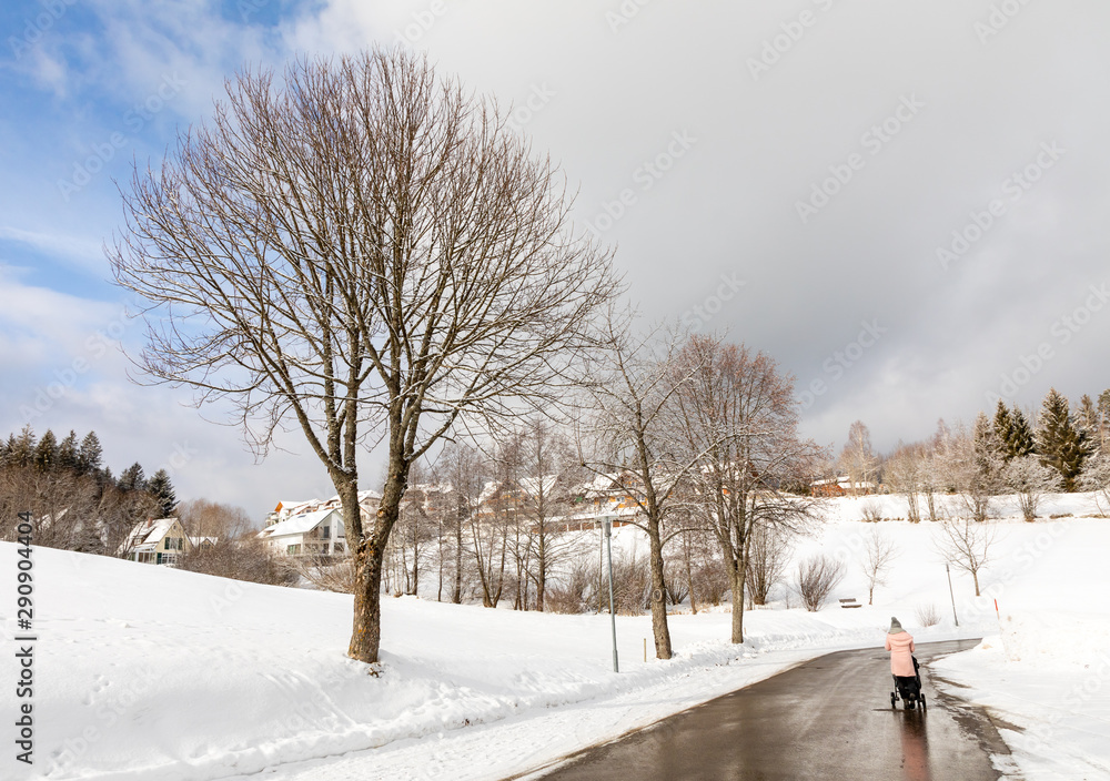landscape with snow in winter in schluchsee, germany landscape with snow in winter in schluchsee, germany